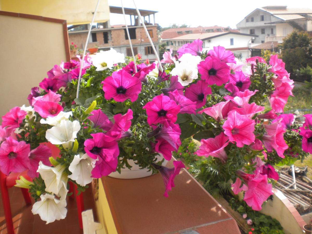B&B Del Sole Tropea Riaci Exterior foto